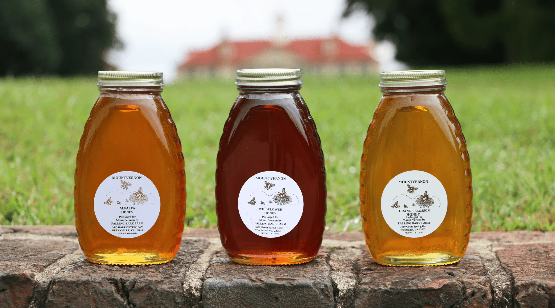 Virginia Alfalfa Infused Honey - Image 4