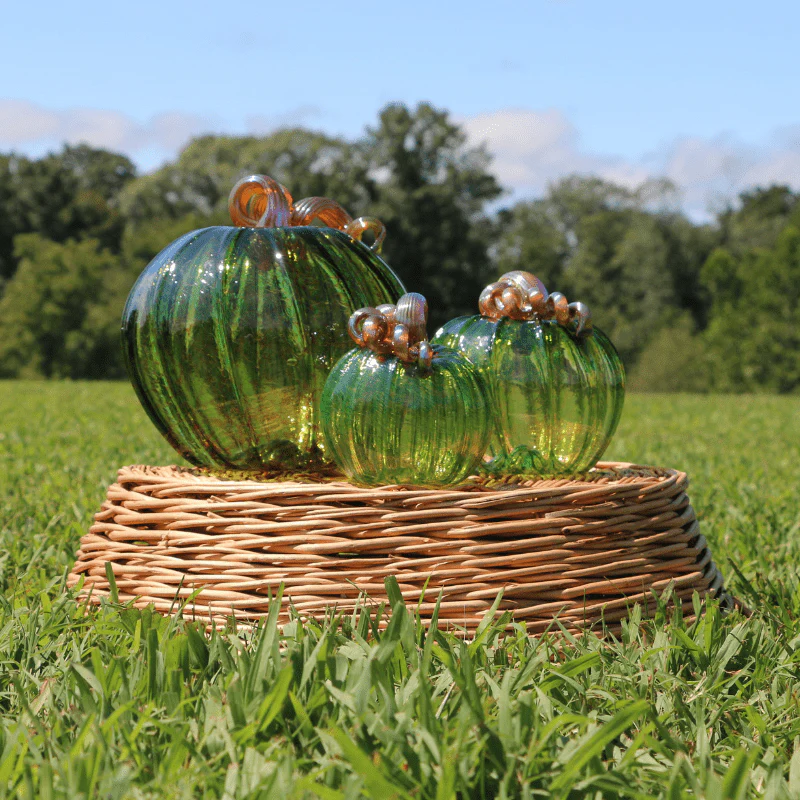 Luke Adams Autumn Green Pumpkin - Assorted Sizes - Image 2