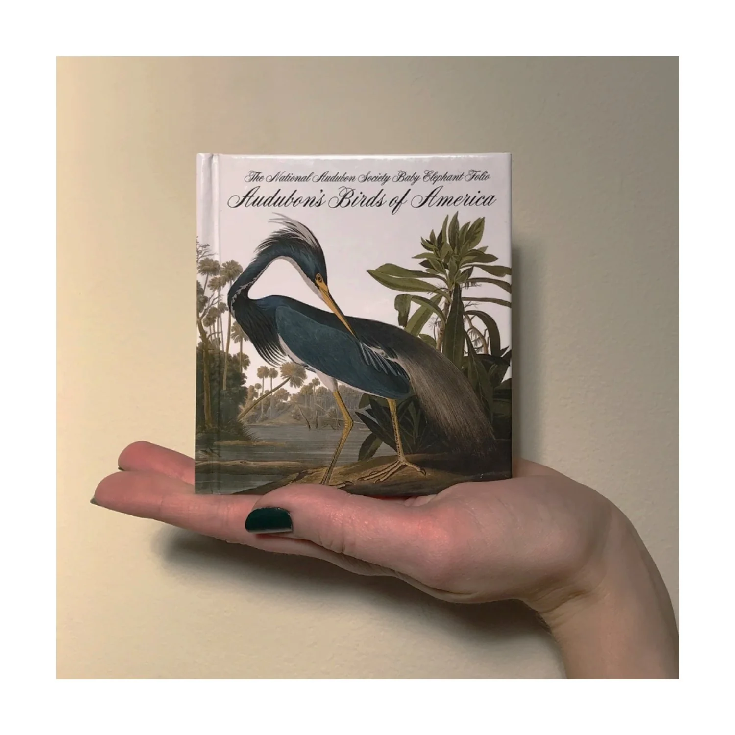 Birds of America - Tiny Folio - Image 2