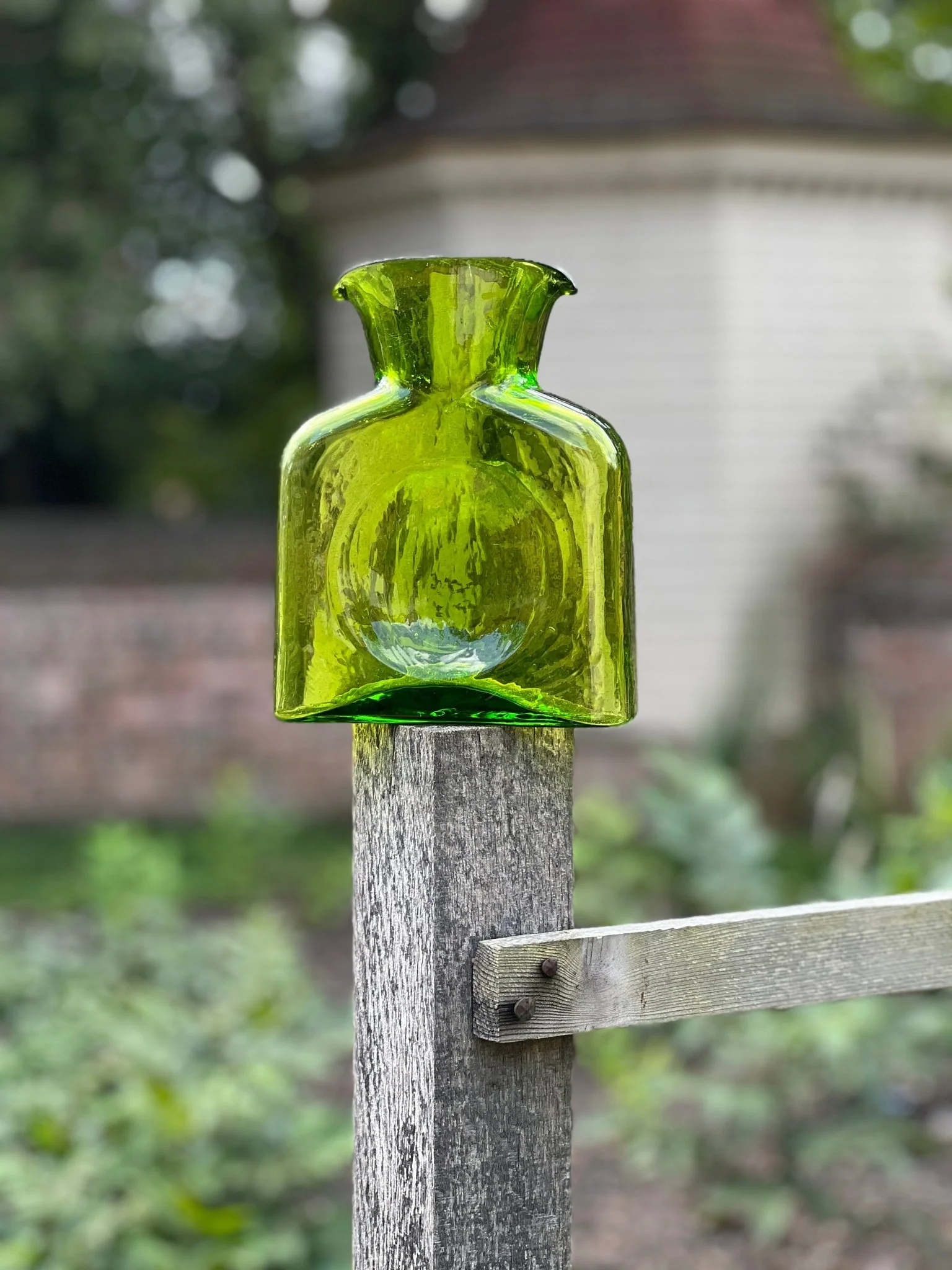 Blenko Water Bottle - Olive Water Bottle - Large or Mini - Image 4