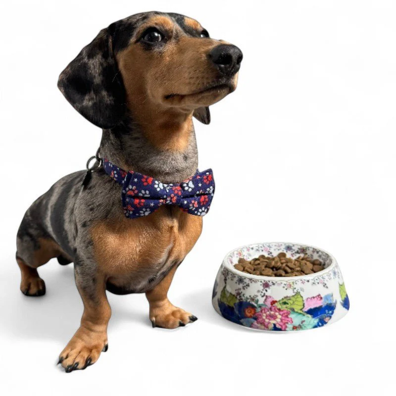 Tobacco Leaf Pet Bowl - Pet Dish - Image 4