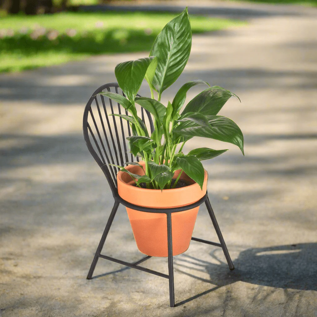 Mount Vernon Windsor Chair Planter - Image 10