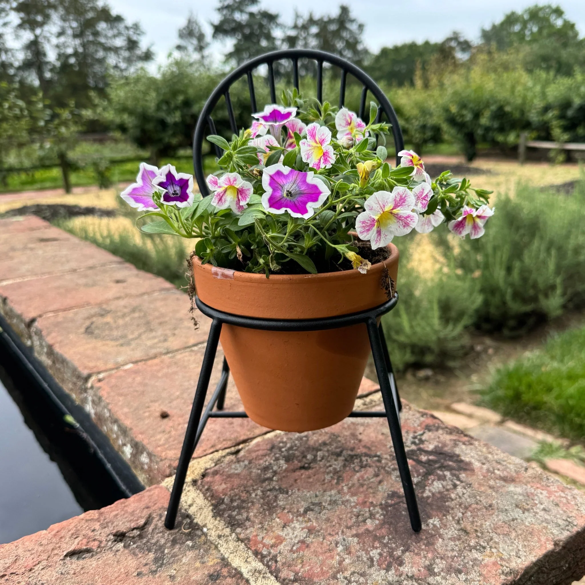 Mount Vernon Windsor Chair Planter - Image 4