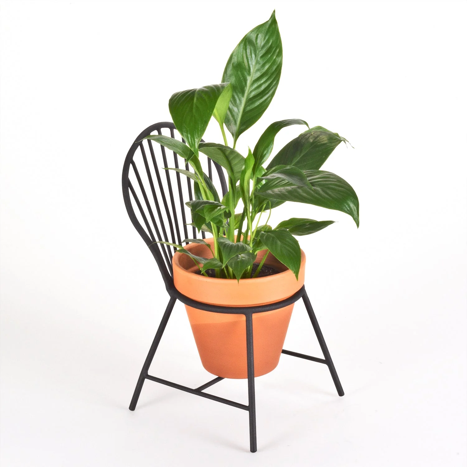 Mount Vernon Windsor Chair Planter - Image 6