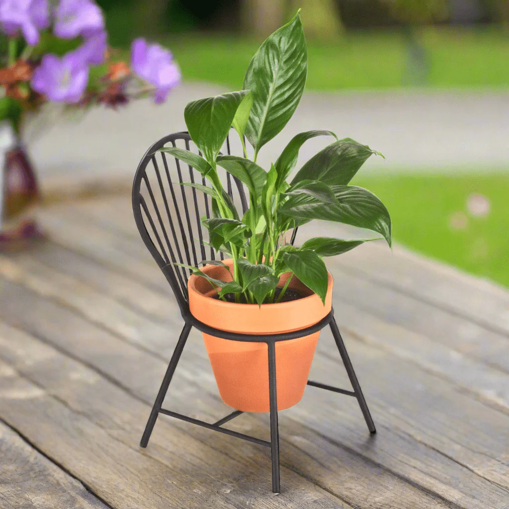 Mount Vernon Windsor Chair Planter - Image 9