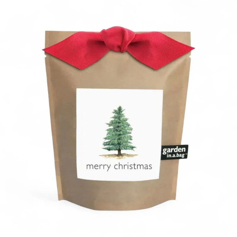 Christmas Tree Grow Kit - Image 3