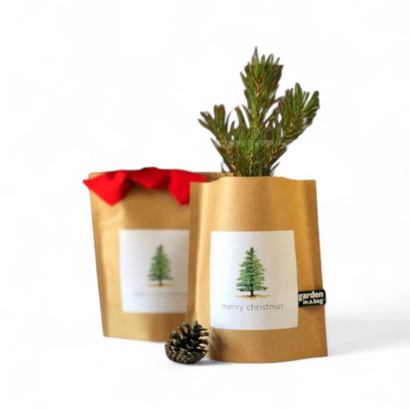 Christmas Tree Grow Kit - Image 4