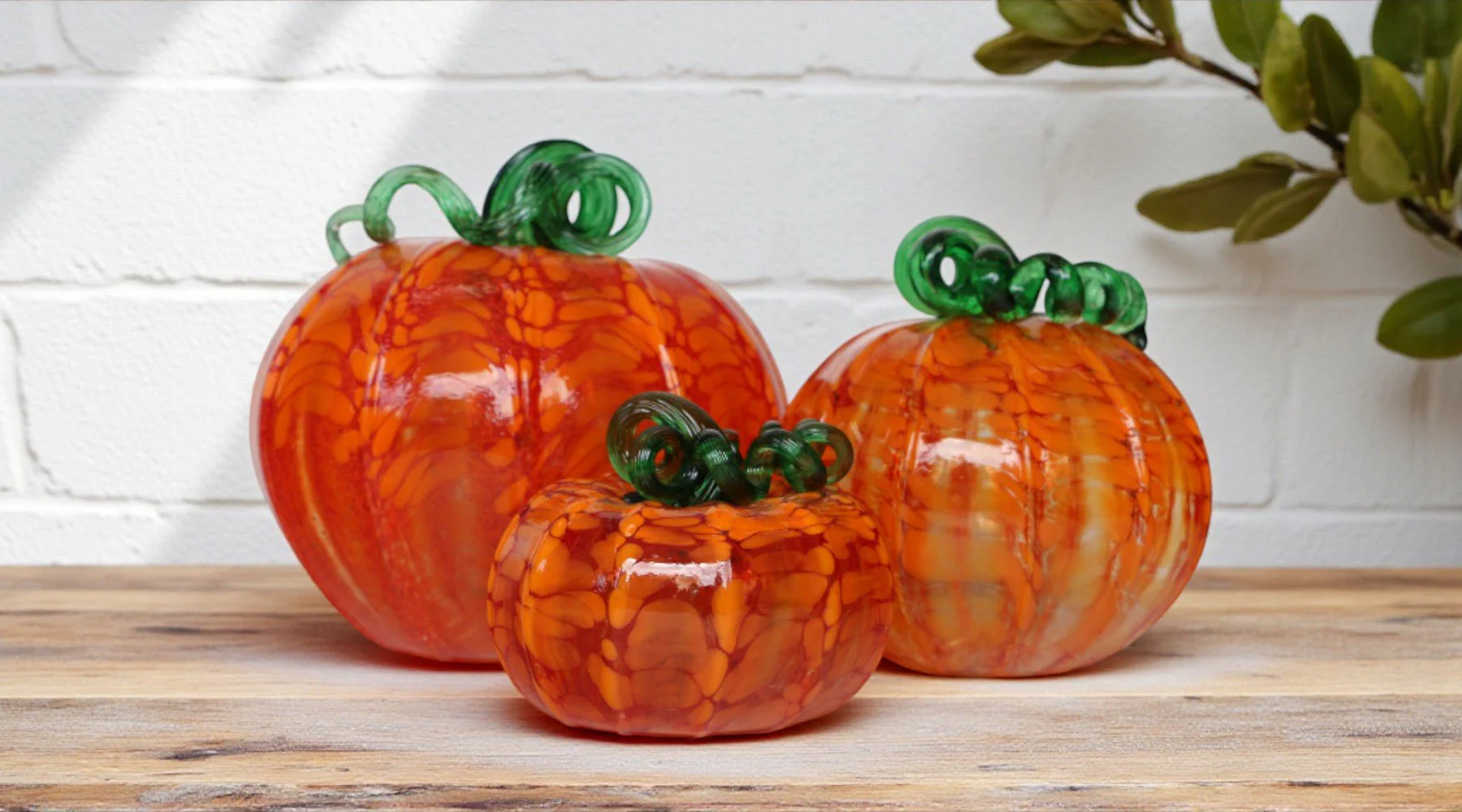 Luke Adams Orange Foliage Pumpkin- Assorted Sizes - Image 10