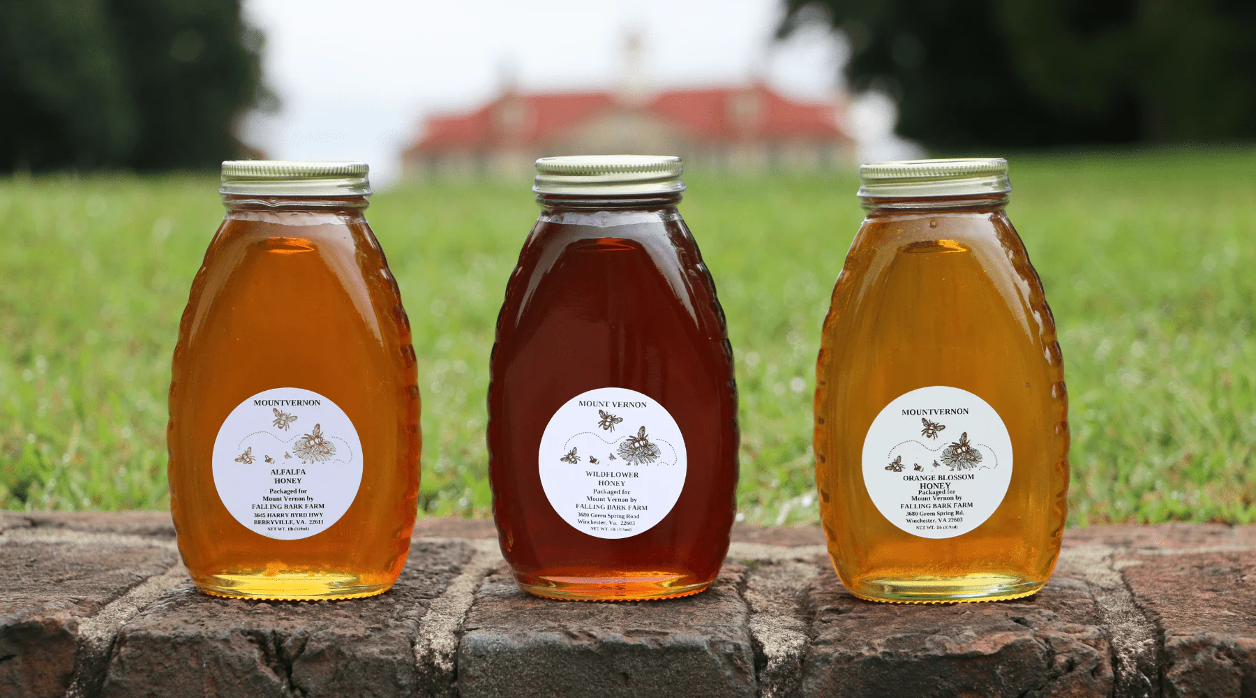 Virginia Wildflower Honey - Image 6