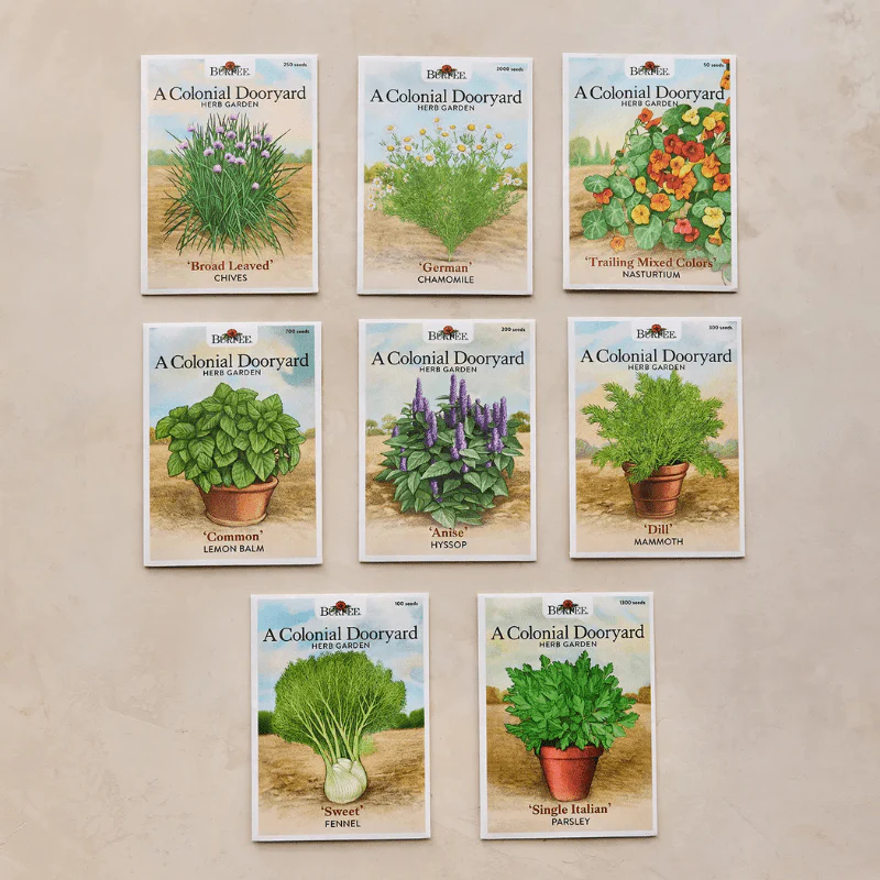 Colonial Dooryard Herb Garden Seed Kit – America’s 250th Anniversary - Image 3