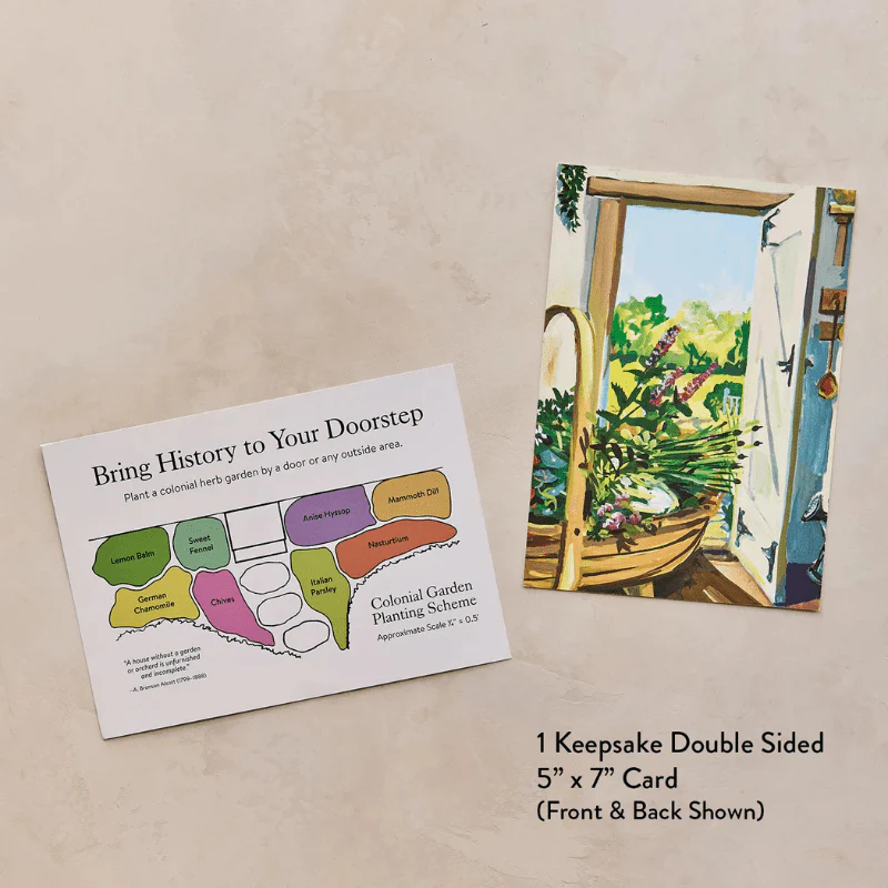 Colonial Dooryard Herb Garden Seed Kit – America’s 250th Anniversary - Image 4