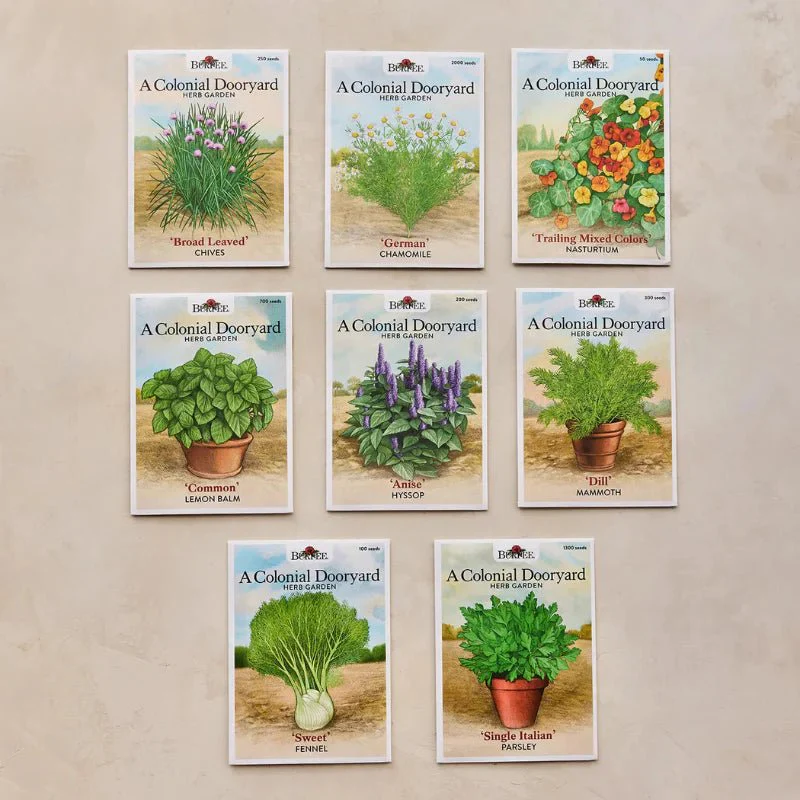Colonial Dooryard Herb Garden Seed Kit – America’s 250th Anniversary - Image 6