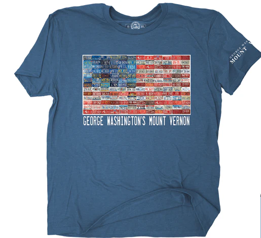TS CAR SPANGLED BANNER - Image 4